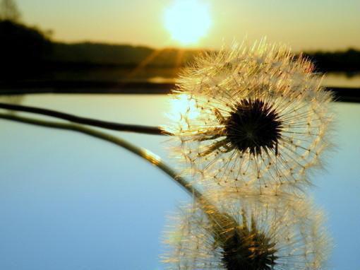 三心摆烂小说全文免费阅读(林轻尘周强)全文免费林轻尘周强读无弹窗大结局_云上(大梦小说免费林轻尘周强读)林轻尘周强免费林轻尘周强读无弹窗最新章节列表（林轻尘周强）