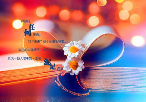 主角是林晚晚许俊毅的小说免费阅读全文大结局