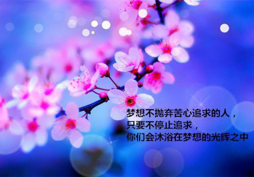 岑沐纪羡北小说 岑沐纪羡北免费全文阅读