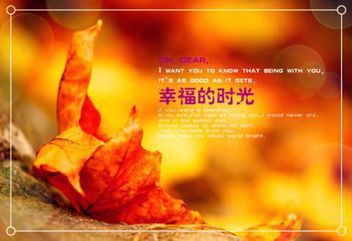 洛霁傅清寒（傅太太，做我的心上人）高质量小说免费阅读-主角是洛霁傅清寒的小说叫什么名字（傅太太，做我的心上人）