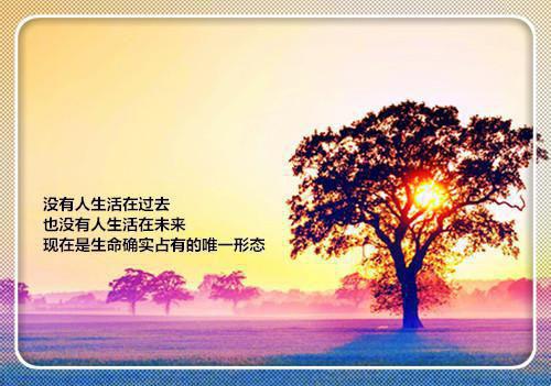 最深的爱，搁浅的你：郑雪歌全文+后续完结（林斯洛郑雪歌+番外）完整版免费全文下载_最深的爱，搁浅的你：郑雪歌全文+后续最新章节无广告（林斯洛郑雪歌）