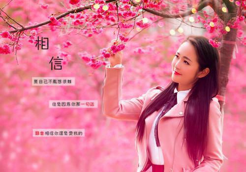 许凯张圆圆什么小说 许凯张圆圆全文免费阅读