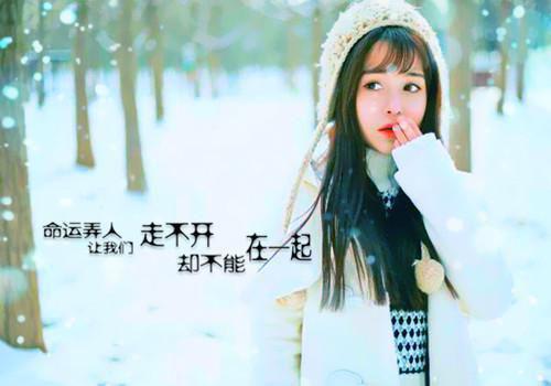 (抖音小说)何娜娜徐铮王致远免费阅读第4章