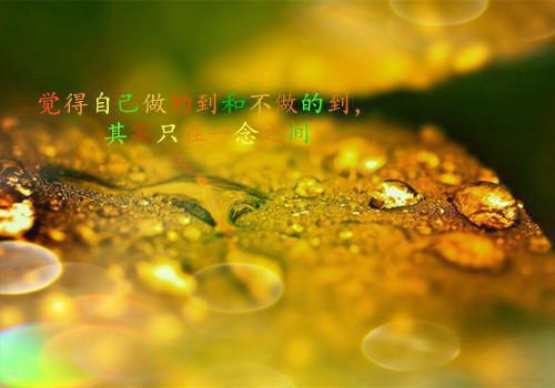 李观棋赵庆全文阅读最新 李观棋赵庆小说目录