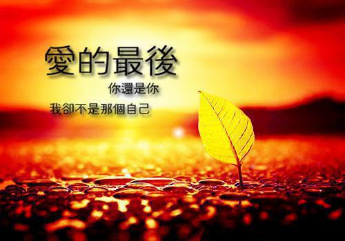 胡大莉徐璐安思琪全文阅读最新 胡大莉徐璐安思琪小说目录