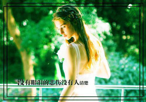 沈沐慕洛琰的书名全文免费最后一章在线阅读 沈沐慕洛琰全文小说完整版