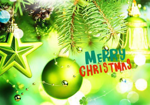 张奕扬芯芯最后结局 张奕扬芯芯完结版免费阅读