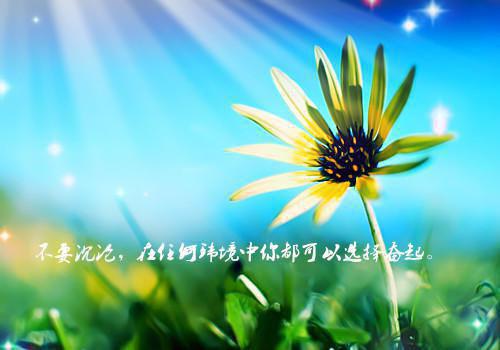 韩翊城陆心怡结局是什么 韩翊城陆心怡免费阅读全文