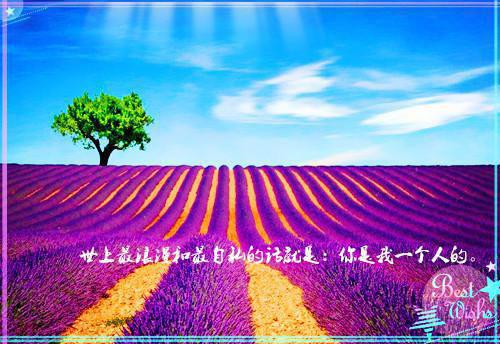 林峰朱晓宁全文阅读最新 林峰朱晓宁小说目录