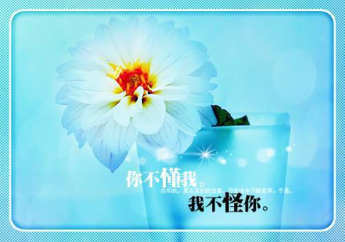 主角名是陈华林兰兰全文免费阅读正版