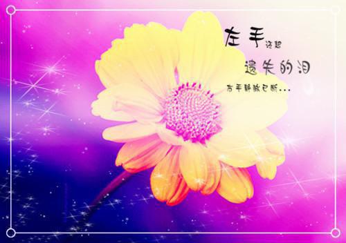 顾延承周韵霖是哪部小说的主角 顾延承周韵霖全文阅读