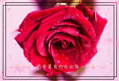 苏念慈陈天明孙雨柔小说章节目录 苏念慈陈天明孙雨柔免费阅读第1章