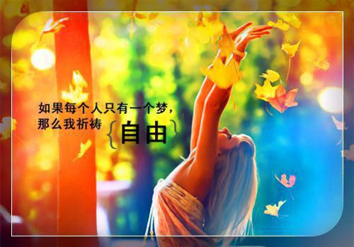 寒凌花颜免费 重生选择我师弟后，她后悔了完整版小说