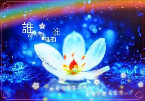 (完整版)蒋温夏纪年川纪景庭小说免费阅读无广告