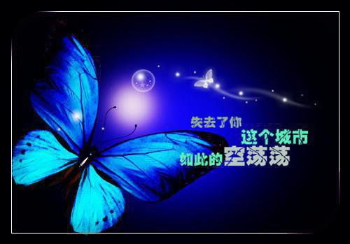 人宠(林媚沈璟琛)无弹窗阅读