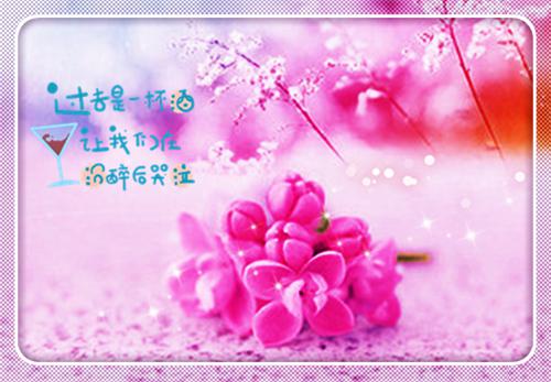 沈书意季慕白（沈书意季慕白）全文免费阅读无弹窗大结局_ (沈书意季慕白小说免费阅读)最新章节列表（沈书意季慕白）