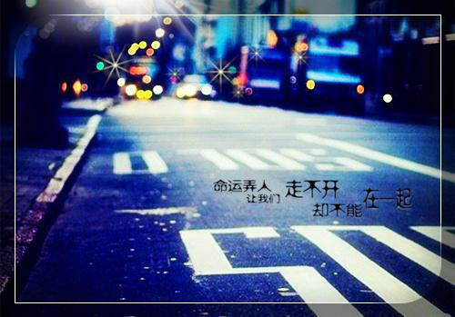 末世囚心同月最新章节在线阅读