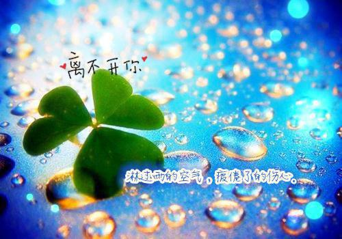 涂山玥夜泽是什么小说的主人公 涂山玥夜泽免费阅读