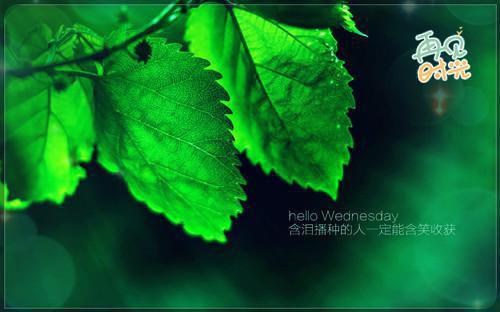 朱童汐薛元是什么小说 朱童汐薛元全本免费阅读