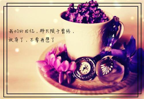 (完整版)周佳曼曼小说免费阅读无广告