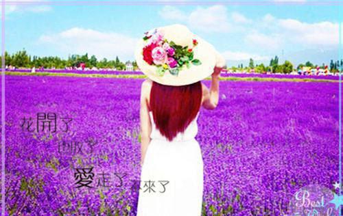 陆亦川罗绫赵婷婷全文阅读最新 陆亦川罗绫赵婷婷小说目录