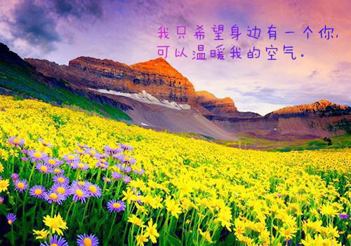 穿越后，我反手掏出黑神话赚大钱(结局) 江锋李力强免费阅读全文