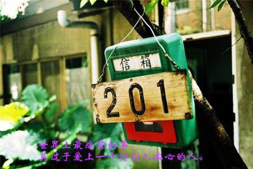 玄幻：赠送机缘越多我越强在线阅读 洛卿羽小说