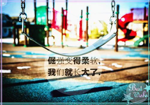 单槿韵沈逸筝小说阅读 单槿韵沈逸筝全文免费无广告