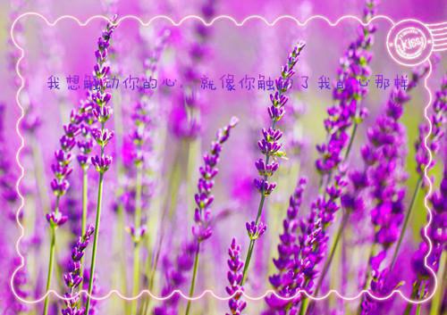 宋言溪顾景洲第四章 宋言溪顾景洲小说免费阅读