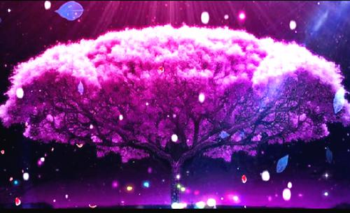 我假死后,夫君和儿子后悔了在线阅读 雪薇裴锦之裴希望小说