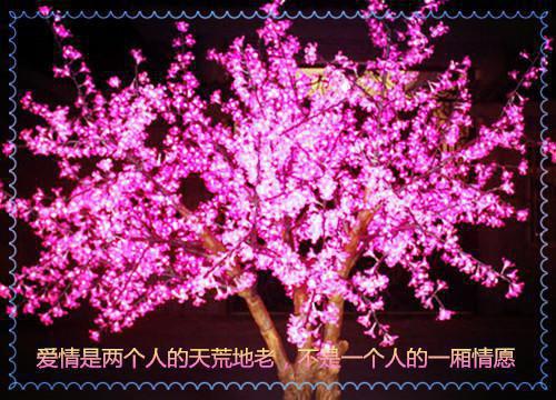 谁掐死了她赵姐无弹窗小说全本阅读