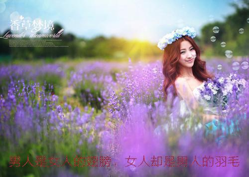 王涛王海小说 王涛王海免费全文阅读