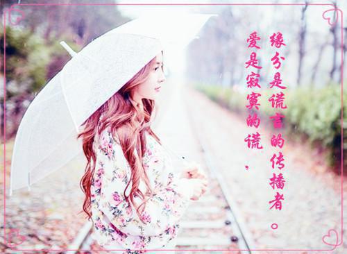 司安安秦骁宇小说叫什么名字 司安安秦骁宇全文免费阅读