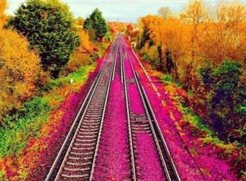 许闻深江予漾（独恋珍珠）全文免费阅读无弹窗大结局_独恋珍珠小说最新章节列表