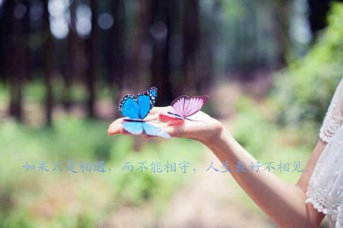 宁澈若若的小说 宁澈若若全文免费阅读