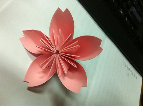 郑常茜茜免费小说 郑常茜茜全文阅读目录