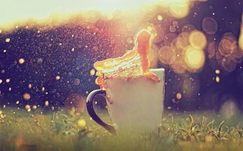 乔曦沈宴周嘉良全文阅读 乔曦沈宴周嘉良小说最新章节