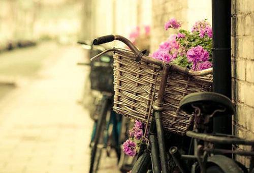 许薇许静是什么小说 绦虫减肥佚名