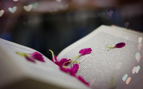 林霜宋佳琪免费小说 林霜宋佳琪在线阅读