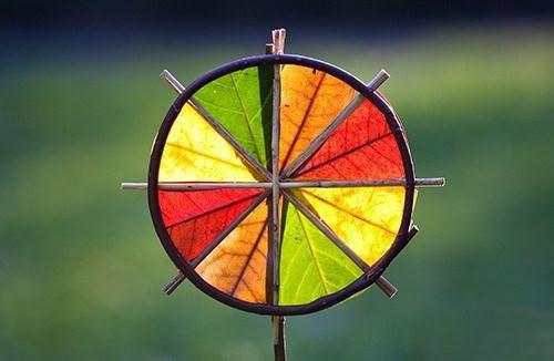 林夜白清玄精品小说阅读 觉醒系统后，仙界迎来了互联网时代免费看全章节