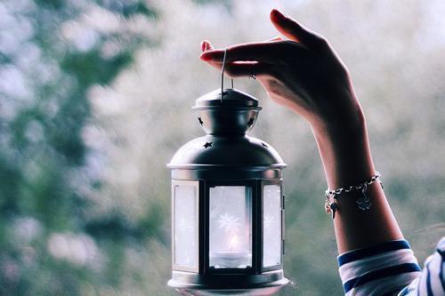 商秋枝酆砚（商秋枝酆砚）全文免费阅读无弹窗大结局_（商秋枝酆砚）免费阅读无弹窗最新章节列表