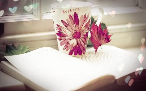 主角纪茵芷傅君尧小说免费阅读最新章节