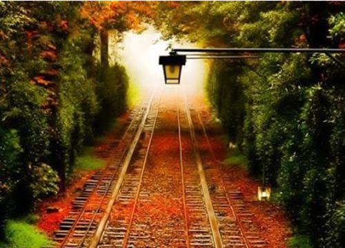 姜婉凝凌珩小说目录 姜婉凝凌珩完整免费版阅读