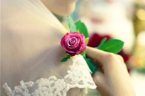 谢君毅邱小娜小说好看吗-谢君毅邱小娜热门小说大结局阅读