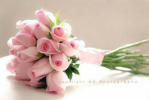 虞浅霜陆靳商（虞浅霜陆靳商）全文免费阅读无弹窗大结局_虞浅霜陆靳商完本小说最新章节阅读