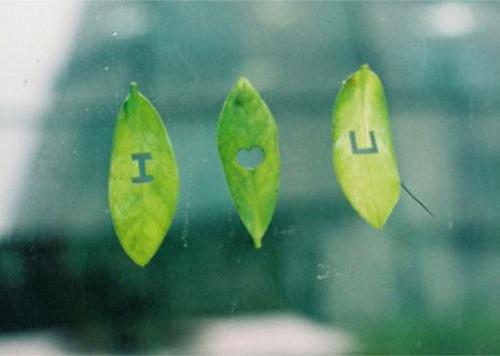 纪云惜傅承安免费阅读目录 纪云惜傅承安小说全文