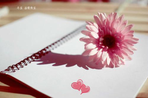 主角名是薛昭昭秦肆也全文免费阅读正版