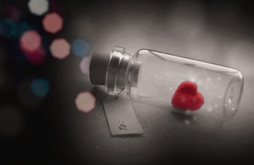 沈辞苏沁安妍完整版 沈辞苏沁安妍小说全文在线阅读