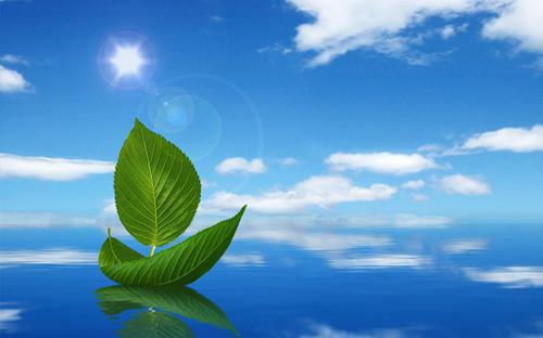 (最新)江玲雪陆淮景小说完整版免费阅读