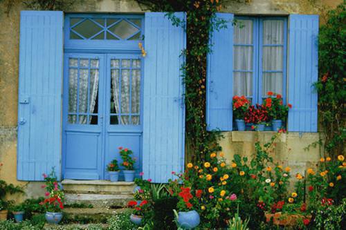 苏辛缘沈林晖小说叫什么名字 苏辛缘沈林晖全文免费阅读